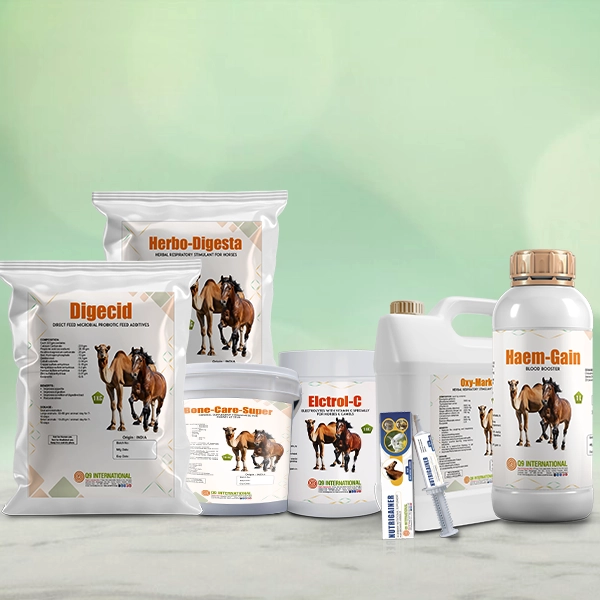 q9 international animal feed supplements