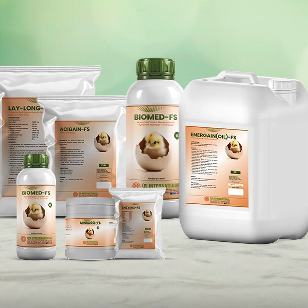 q9 international animal feed supplements