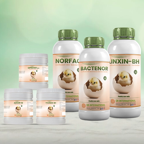 q9 international animal feed supplements