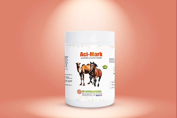 q9 international Horse and Camel feed supplements