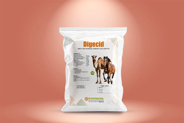 q9 international Horse and Camel feed supplements