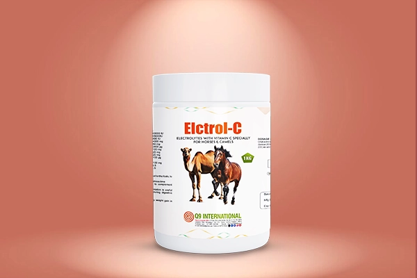 q9 international Horse and Camel feed supplements