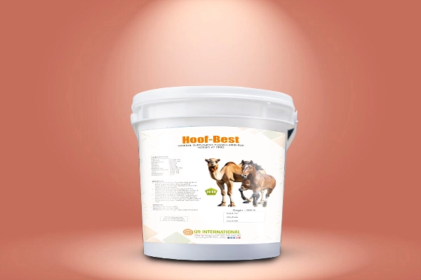 q9 international Horse and Camel feed supplements