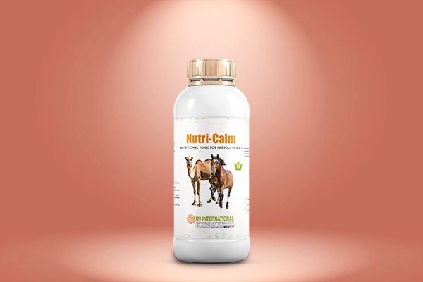 q9 international Horse and Camel feed supplements