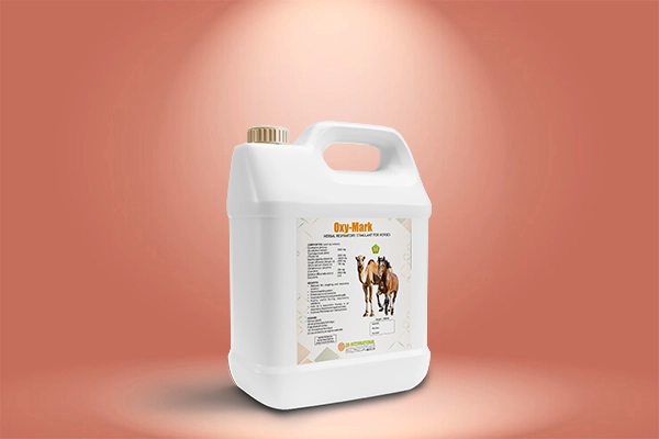q9 international Horse and Camel feed supplements