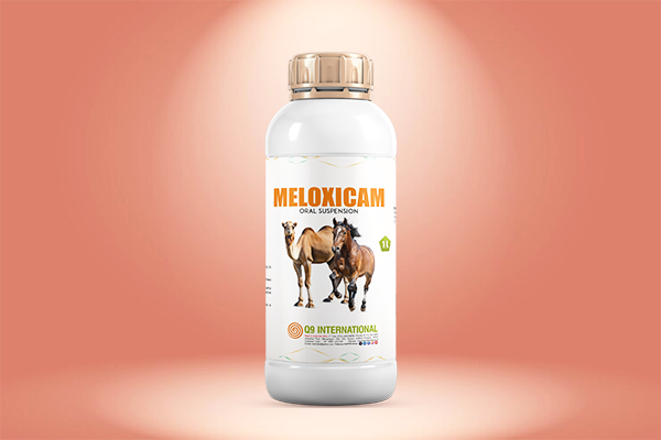 q9 international horse and camel treatment products