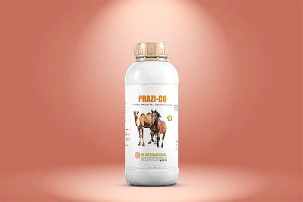 q9 international horse and camel treatment products