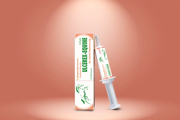 q9 international horse and camel treatment products