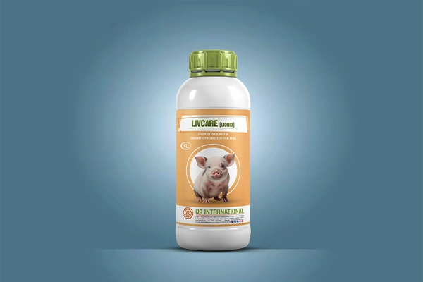 q9 international swine healthcare products