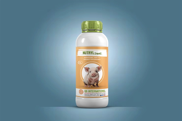 q9 international swine healthcare products