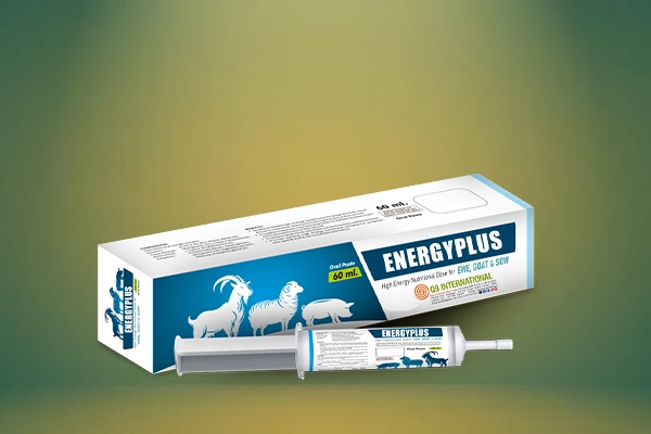 q9 international veterinary feed supplements