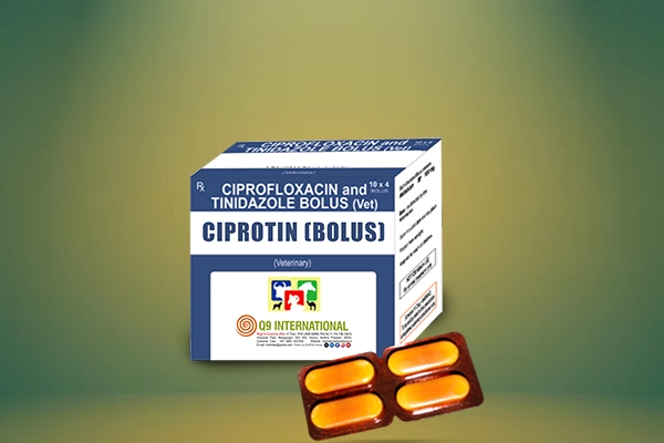 q9 international poultry feed supplements