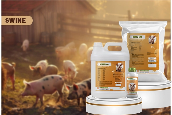 q9 international products