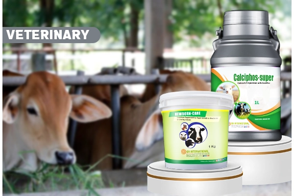 q9 international products