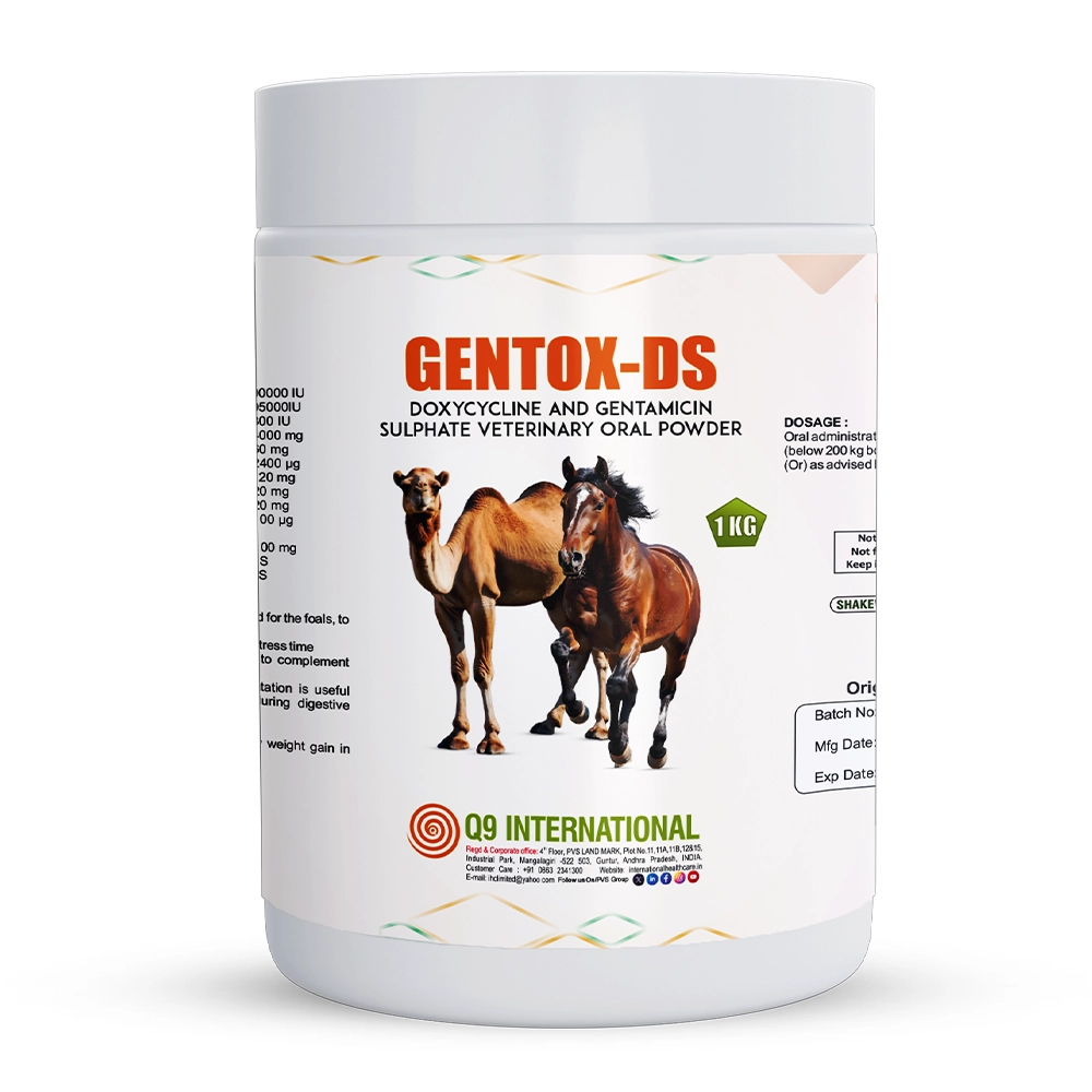 q9 international products