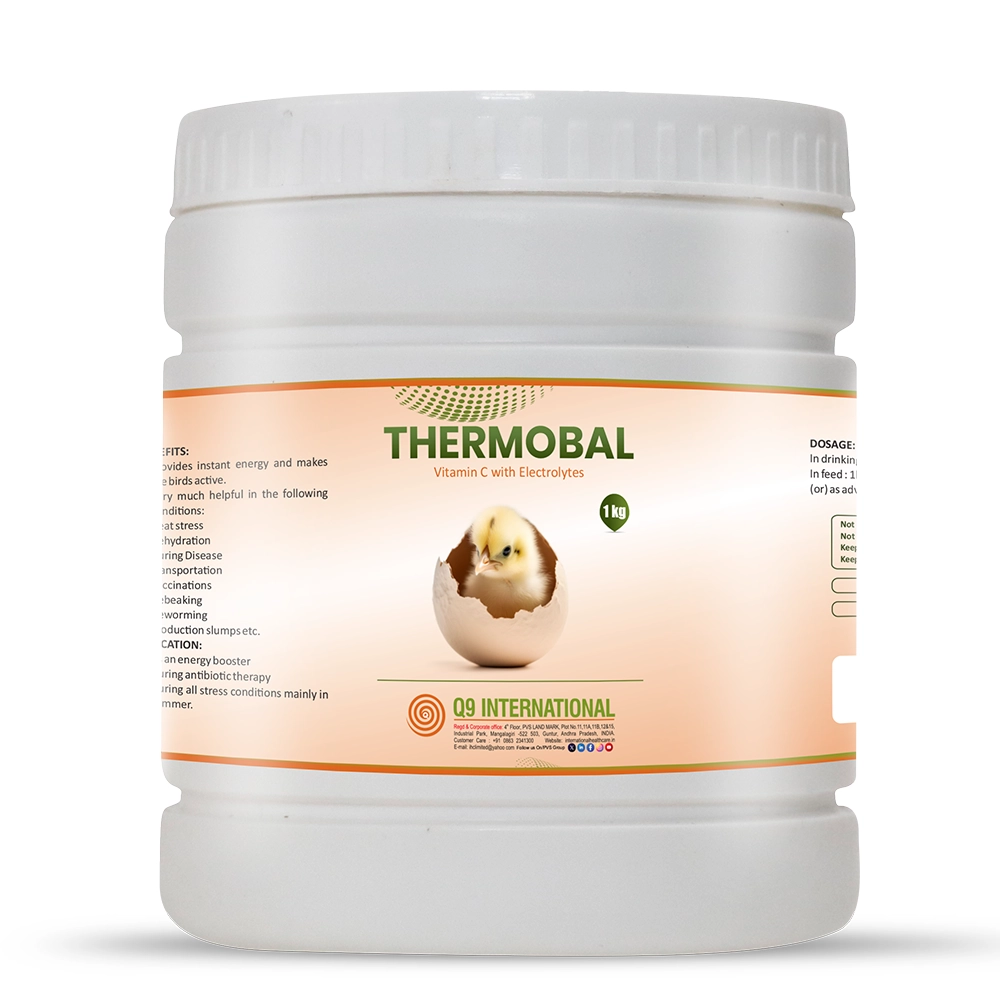 q9 international products