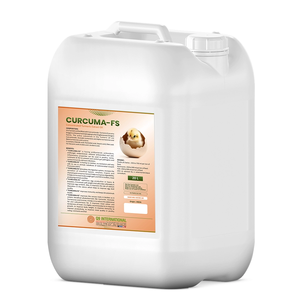 q9 international products