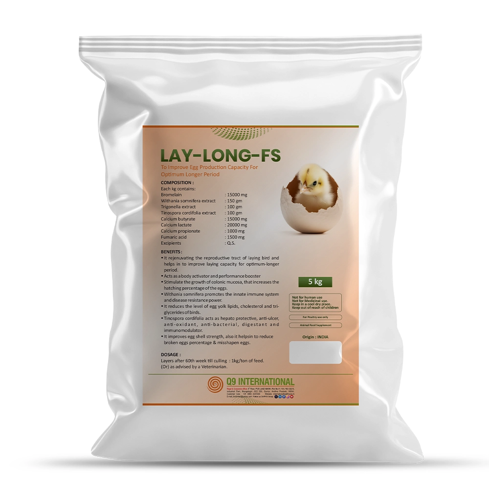 q9 international products