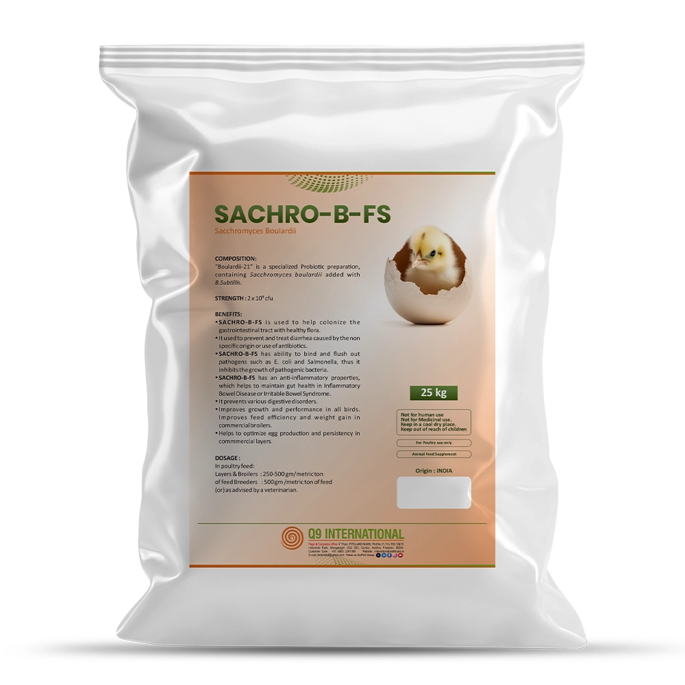 q9 international products
