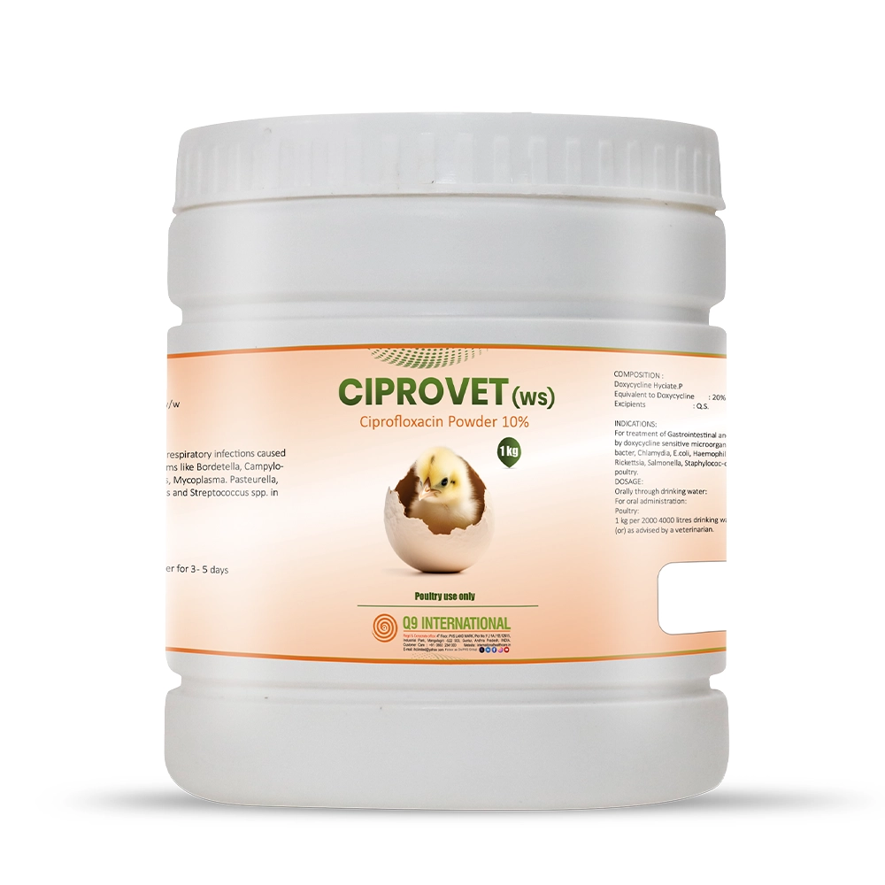 q9 international