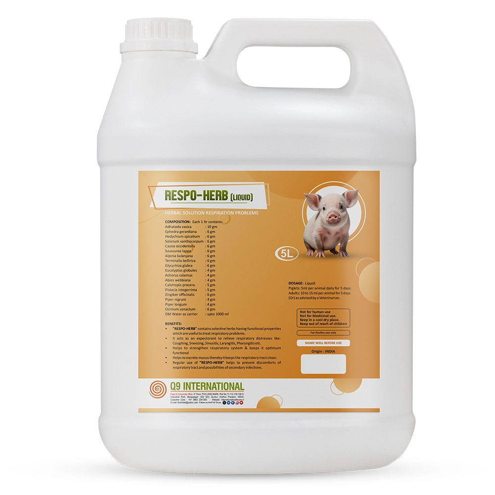 q9 international products